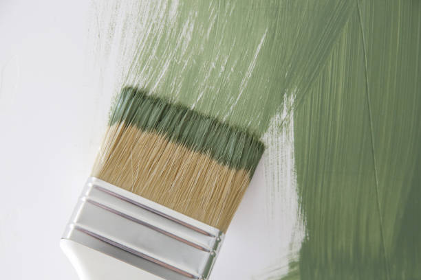 Best Touch-Up Painting  in Evansdale, IA